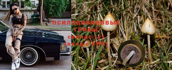 каннабис Баксан