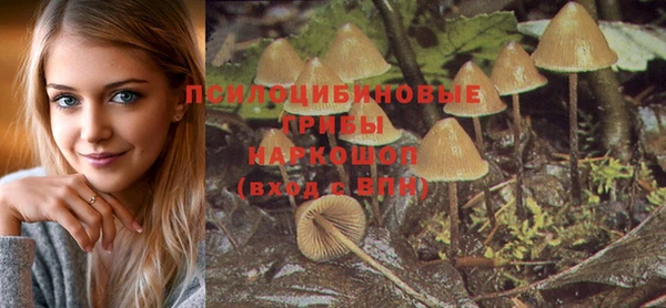 каннабис Баксан